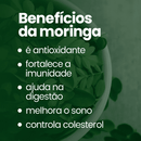 Moringa 100% Pura - Qualidade Premium - Simpla