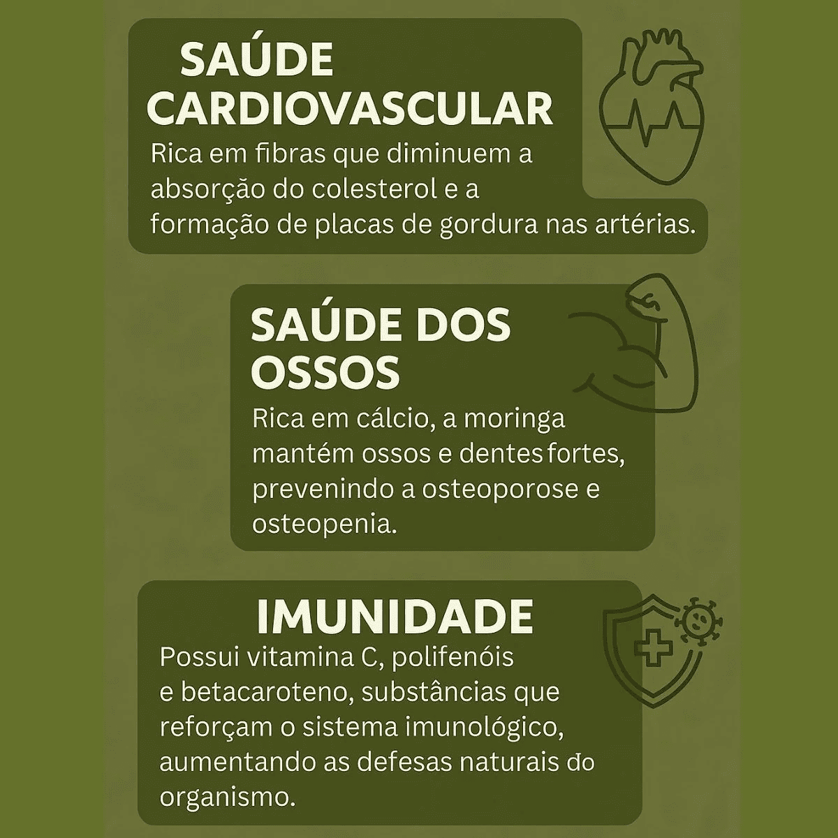 Moringa 100% Pura - Qualidade Premium - Simpla