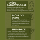 Moringa 100% Pura - Qualidade Premium - Simpla