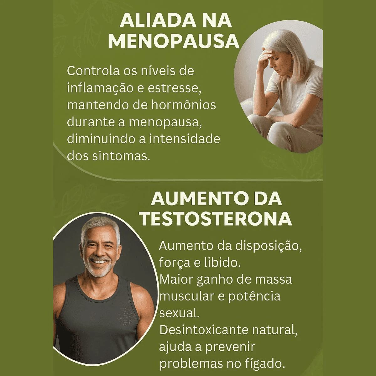 Moringa 100% Pura - Qualidade Premium - Simpla