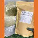 Moringa 100% Pura - Qualidade Premium - Simpla